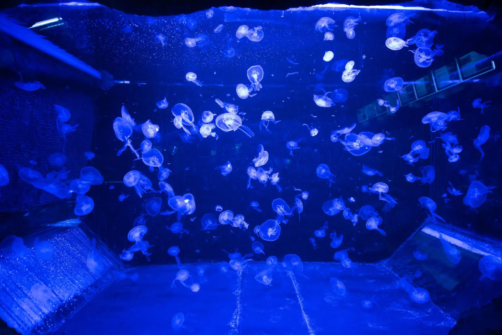 成都万感空间智能音箱与智能闹钟AI语音交互技术对比分析